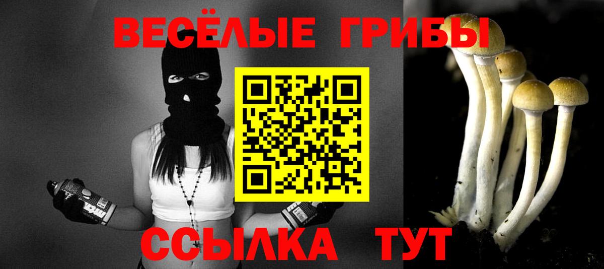 Псилоцибиновые грибы мицелий  Вход с VPN  Черногорск  Галлюциногенные грибы Psilocybine cubensis 