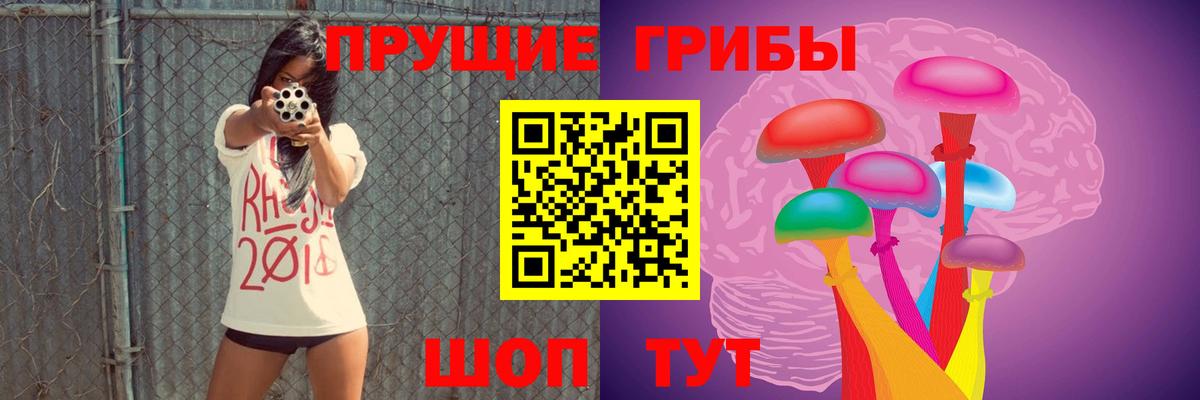 Псилоцибиновые грибы мицелий Черногорск